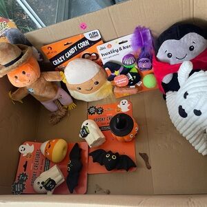 NEW Dog & Cat Toys!!